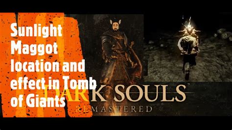 Dark Souls Remastered [Sunlight Maggot location and effect in.
